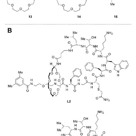 Modification Of The Core 2 Rotaxane Structure A Structures Of Crown