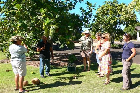 Maui Nui Botanical Gardens