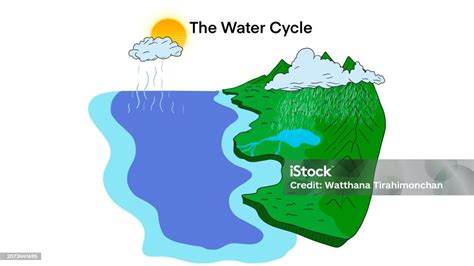 The Water Cycle Diagram Representation Of The Water Cycle In Nature Water Process On Earth Stock