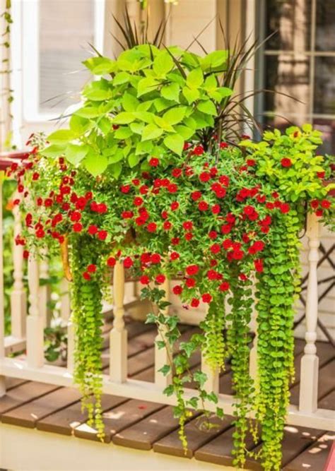 Comment Fleurir Son Balcon En 80 Photos Avec Des Idées