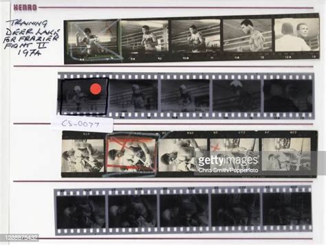 Film Negatives Photos And Premium High Res Pictures Getty Images