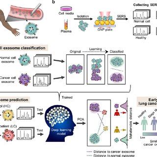 Schematic Illustration Of Cell Therapy Bioprocessing And Research