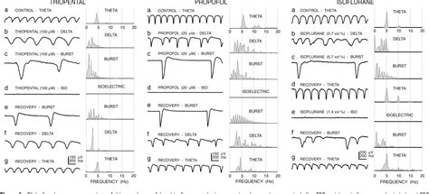 Figure 2 From Anesthetic Induced Burst Suppression Eeg Activity