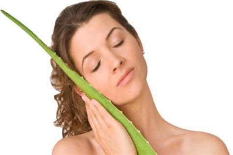 Como Eliminar Las Arrugas Con Aloe Vera Tutorial Paso A Paso Belleza