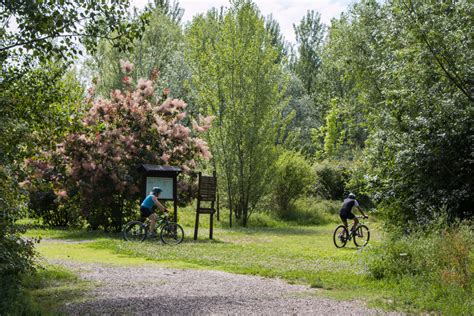 Parco Dei Renai Pro Loco Signa A P S