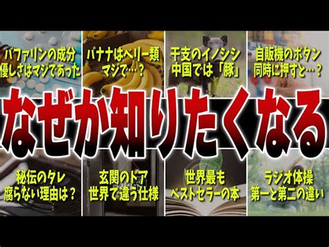 【なぜか知りたくなる】知りたくなるけどきっと役に立たない雑学10選 【ゆっくり解説】ヤバい雑学まとめチャンネル｜youtubeランキング