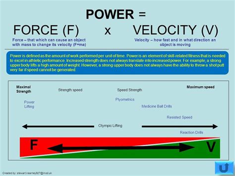 The Science Behind Sport Specificity — Relentless Athletics