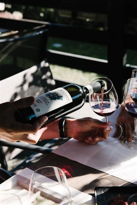 hidden valley   italian alps  winemakers  working