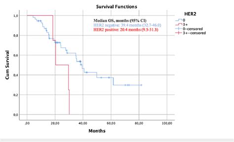 Kaplan-Meier Estimates of overall survival (OS) in the HER2-negative... | Download Scientific ...