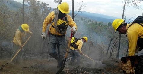 En El Día Internacional Del Combatiente De Incendios Forestales Secretaría De Medio Ambiente Y