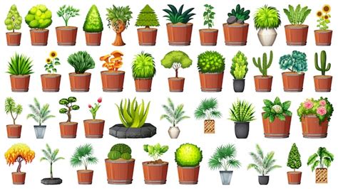 Vectores E Ilustraciones De Plantas Animadas Para Descargar Gratis