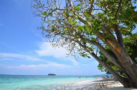 Siberut National Park Legenda Khatulistiwa