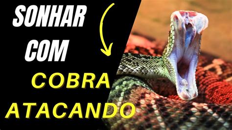 Sonhar Cobra Atacando Como Interpretar Os Significados