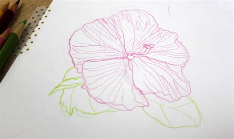 Drawing Flowers With Colored Pencils: 5 Simple Steps | Craftsy