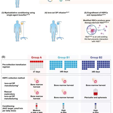 Pdf Lovocel Gene Therapy For Sickle Cell Disease Treatment Process