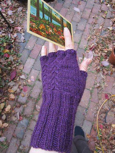 Ravelry Fern Fingerless Gloves Pattern By Amanda Lilley