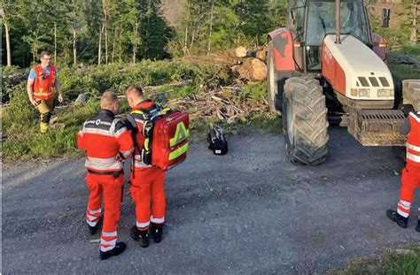 Forstunfall in Steinach Tod des 16 jährigen Rumänen bewegt Ämter