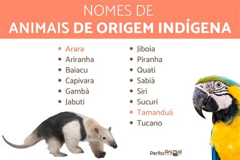 Nomes De Animais E Plantas Indígenas