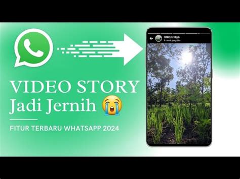 Gampang Cara Membuat Story Whatsapp Tanpa Buram Kualitas Jadi