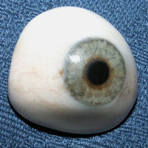 Prosthetic Glass Eyes