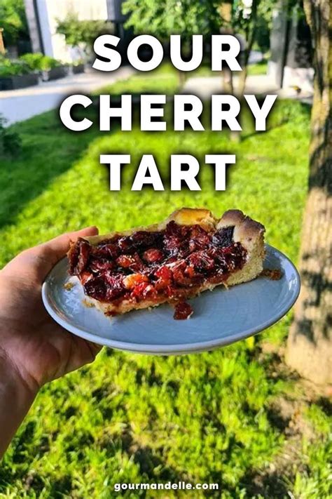 Easy Sour Cherry Tart Rezept