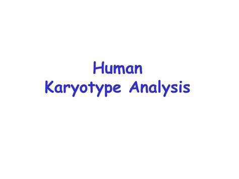 PPT - Human Karyotype Analysis PowerPoint Presentation, free download - ID:7084713