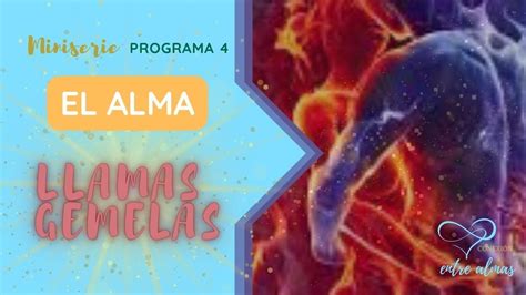 LLAMA GEMELA ALMA GEMELA SEÑALES Y CONEXIÓN llamagemela