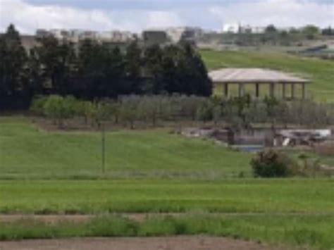 Asta Per Terreno Agricolo Contrada Gavatina Matera Rif