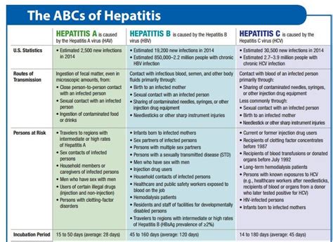 Hepatitis Big Piece Weblog Bildergalerie