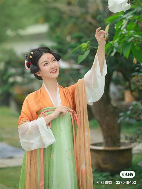 Hanfu・漢服 China Tang Dynasty Chinese Traditional Clothing Hanfu Hanfu Traditional Outfits