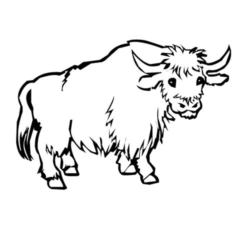 Yak Colouring Page