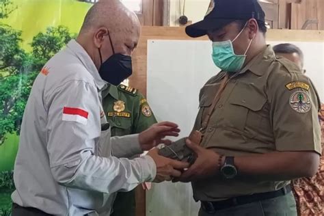 Belum Dapat Macan Tutul Kamera Trap Tangkap Merak Di Gunung Lasem