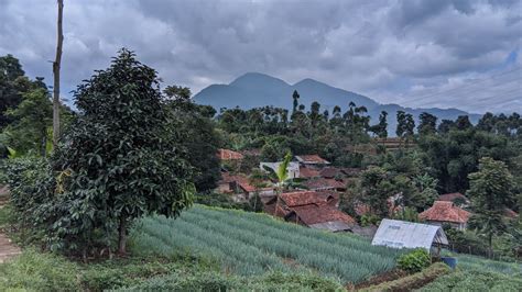 Wah Seenak Ini Suasana Damai Di Desa Bikin Betah Aktivitas Siang Di