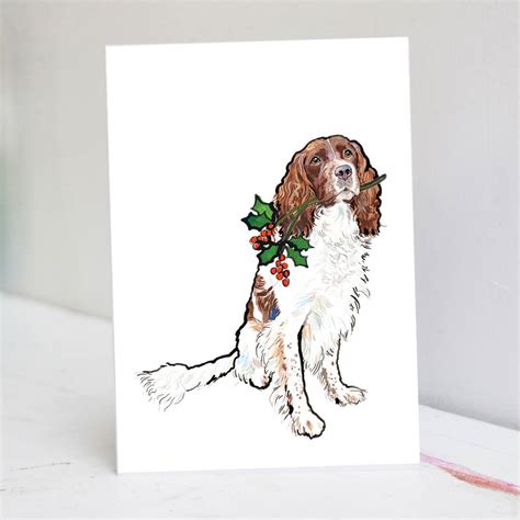 Springer Spaniel Christmas Card By Pet Portrait Illustration