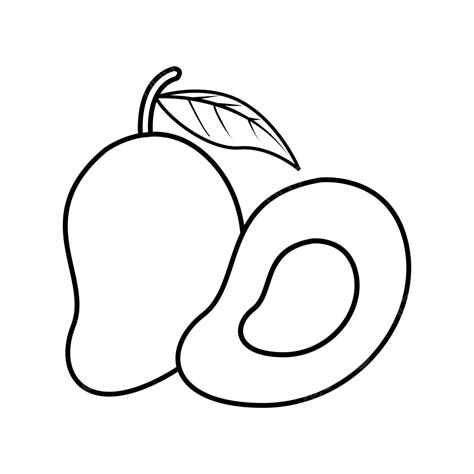 Black And White Mango Fruit Line Art Vector Fruit Drawing Man Drawing