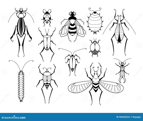 Different Insects with Patterns on Wings. Butterflies and Bugs Set ...