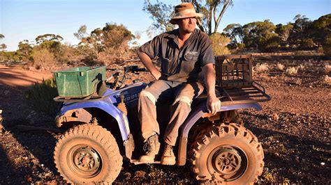 Replay Australie la ruée vers l or voir l intégralité de cette