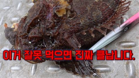 일냇다 4짜5짜 최고의 물고기 잘못 먹으면 알콜 중독자 됩니다 There is a fishing contest in