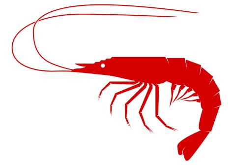 Free Cartoon Shrimp Cliparts, Download Free Cartoon Shrimp Cliparts png images, Free ClipArts on ...