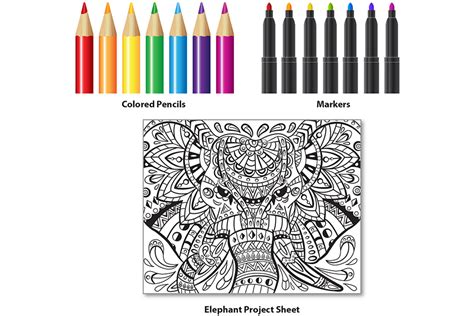 Colored Pencils Art Instructions|Elegant Elephant