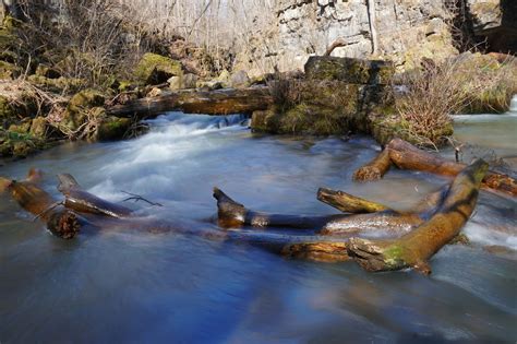 Eleven Point River Adventure