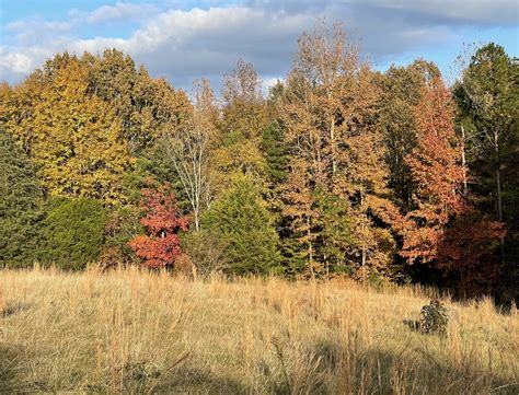 The colors of Fall at Old Mountain Arboretum | Old Mountain Arboretum News