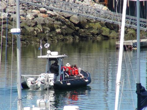 Visite sur l Île Saint Barnabé Compagnie de croisières Rimouski