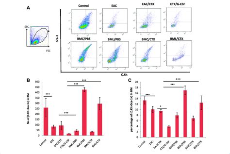 | Representative data of Flow cytometry analysis: (A) to illustrate the ...