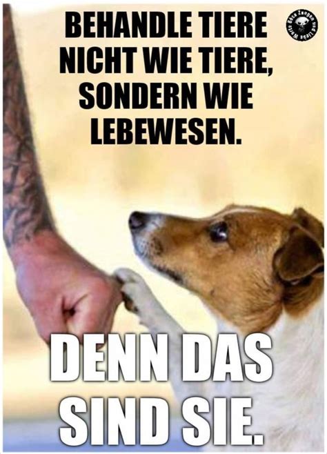 Pin von Stefanie Fischer auf Tiere Zitate tiere Sprüche tiere