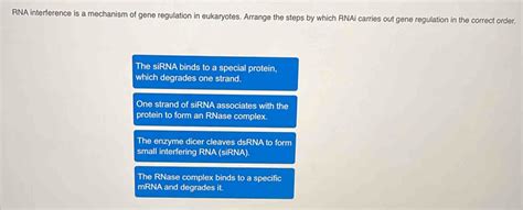 Solved: RNA interference is a mechanism of gene regulation in ...