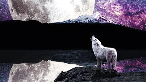 3840x2160 Wolf Moon River 4K ,HD 4k Wallpapers,Images,Backgrounds ...