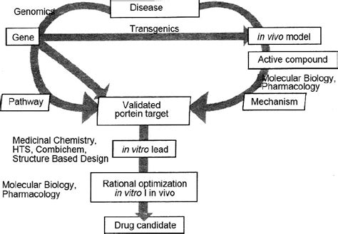 Flowchart Illustrating The Role Of Genomics And Proteomics In The