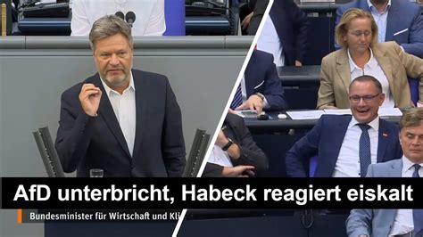 Afd Will Habeck Unterbrechen Der Reagiert Eiskalt Youtube