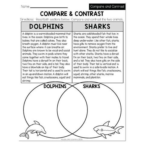 Compare And Contrast Worksheet With Two Dolphins In The Ocean For